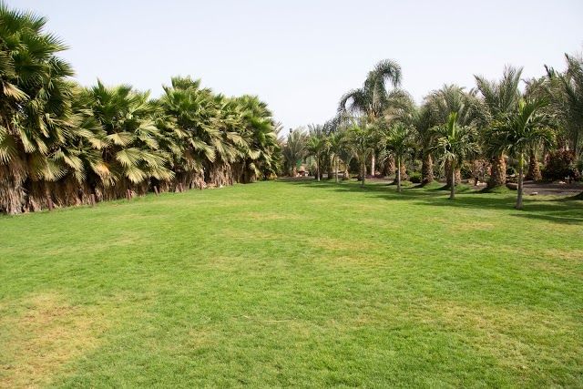Jardin botanique et zoo Viveiro